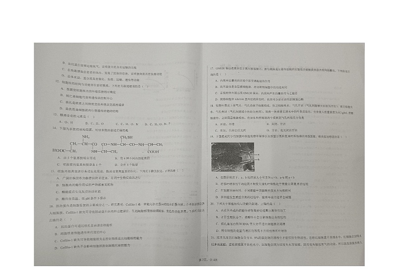 山东省济宁市金乡县青华园实验高中2024-2025学年高一上学期第三次月考生物试题第2页