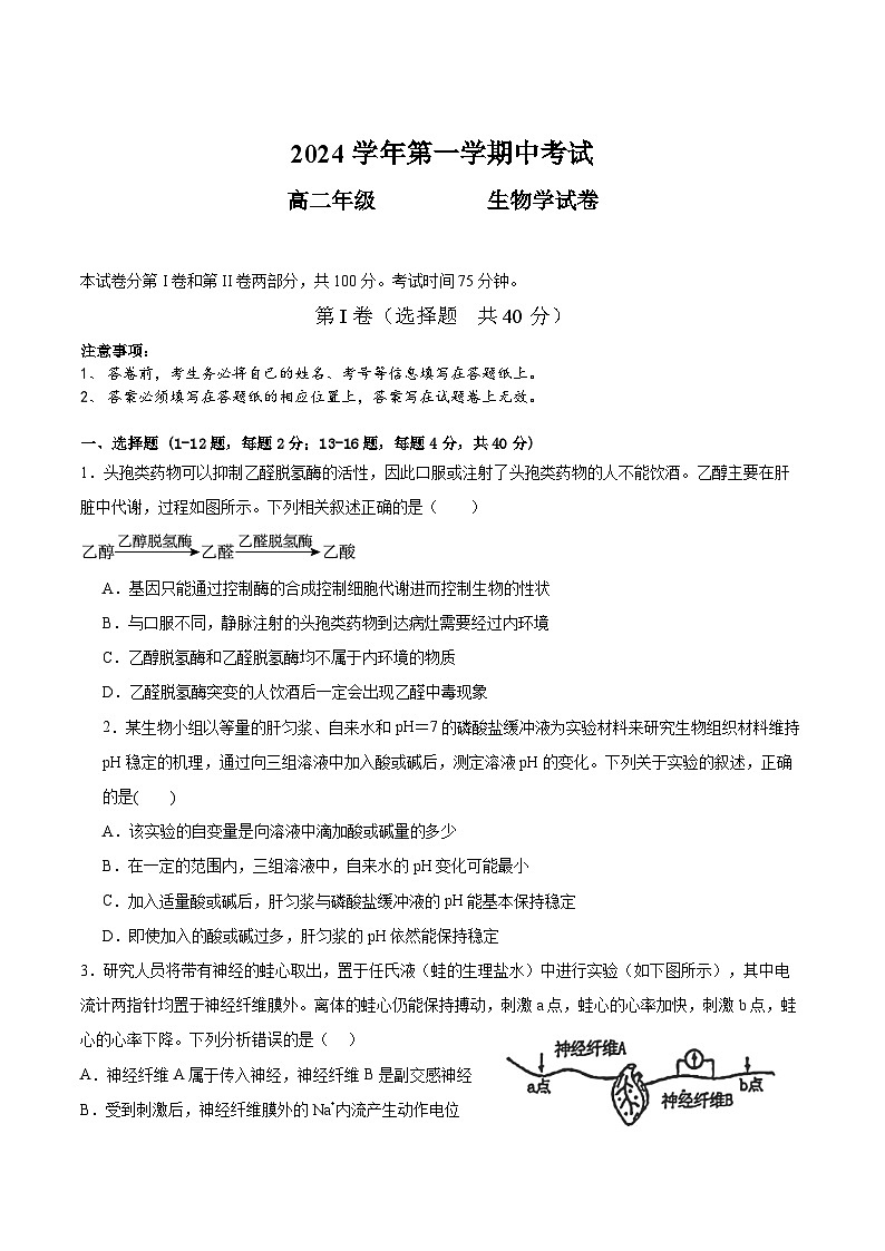 广东省广州市第八十九中学2024-2025学年高二上学期期中考试生物试题第1页