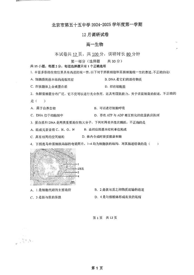 北京市东城区北京市第五十五中学2024-2025学年高一上学期12月月考生物试题第1页