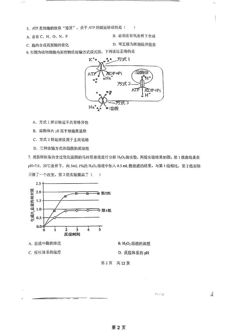 北京市东城区北京市第五十五中学2024-2025学年高一上学期12月月考生物试题第2页