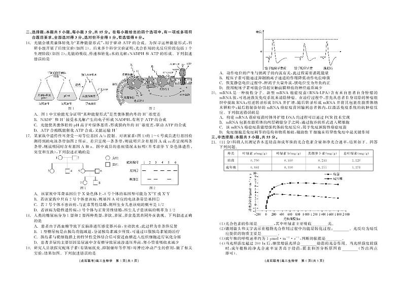 东北三省点石联考2025届高三上学期12月调研联考-生物试题+答案第3页