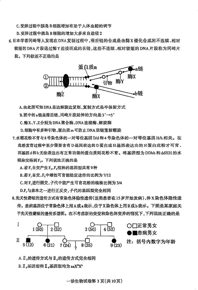 四川省达州市2025届高三上学期高考第一次模拟考试-生物试卷+答案第3页