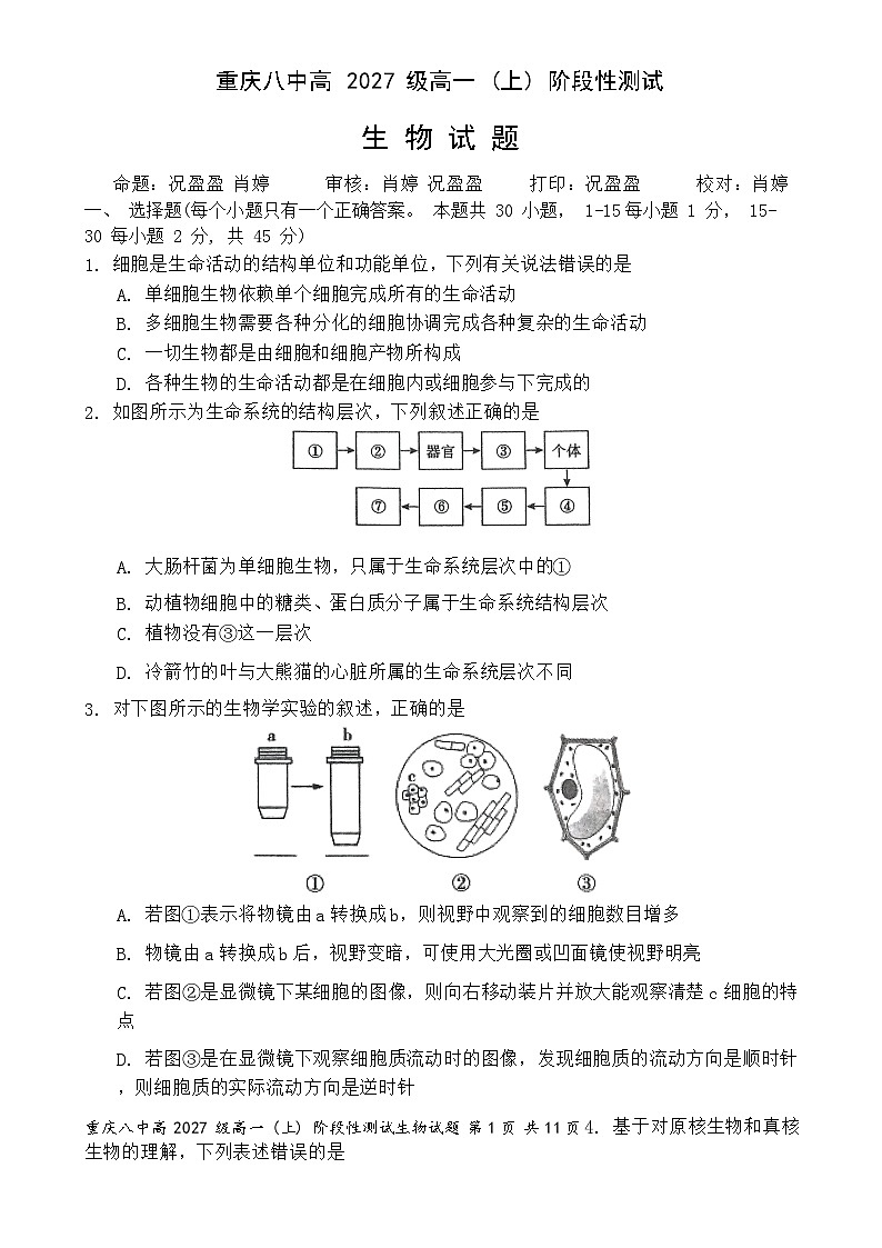 重庆市沙坪坝区重庆市第八中学校2024-2025学年高一上学期12月月考生物试题-A4第1页