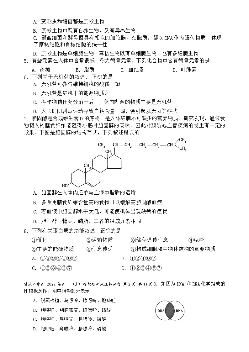 重庆市沙坪坝区重庆市第八中学校2024-2025学年高一上学期12月月考生物试题-A4第2页