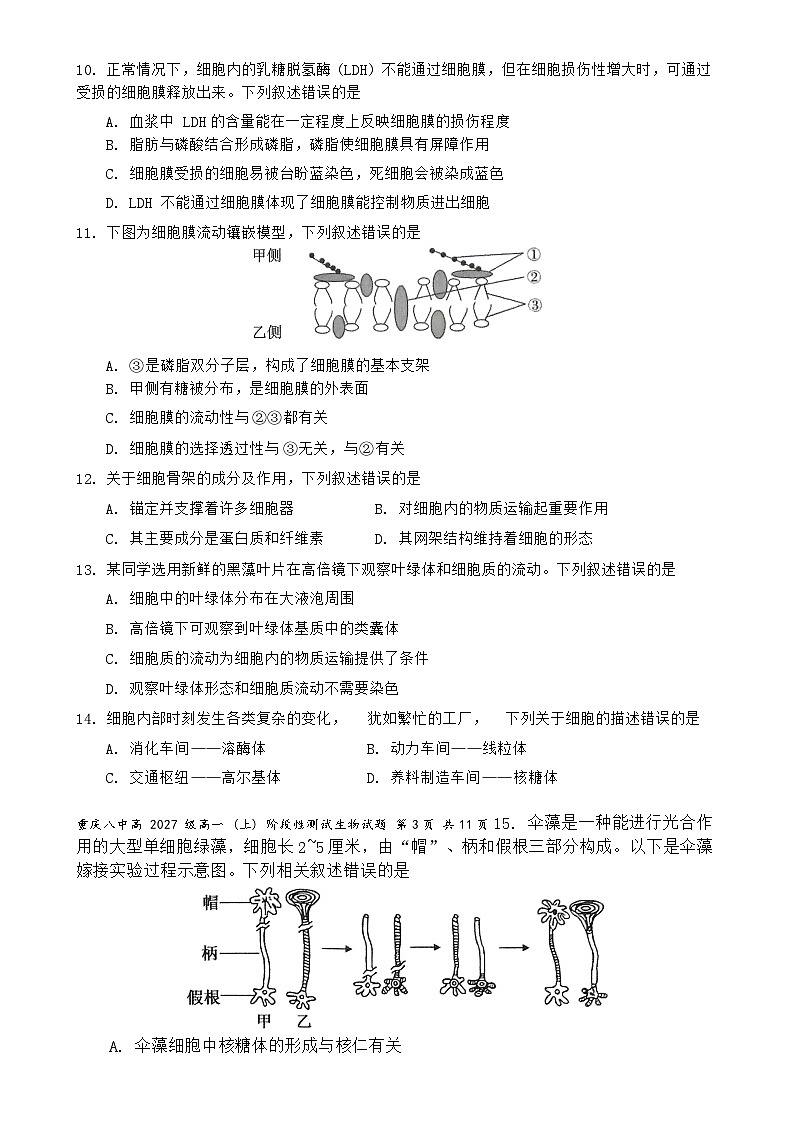 重庆市沙坪坝区重庆市第八中学校2024-2025学年高一上学期12月月考生物试题-A4第3页