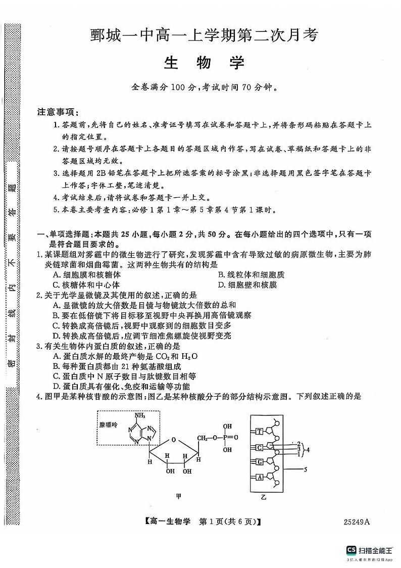 山东省菏泽市鄄城县第一中学2024-2025学年高一上学期12月月考生物试题第1页