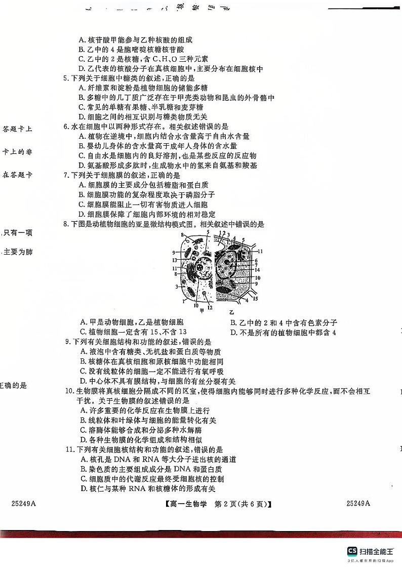 山东省菏泽市鄄城县第一中学2024-2025学年高一上学期12月月考生物试题第2页
