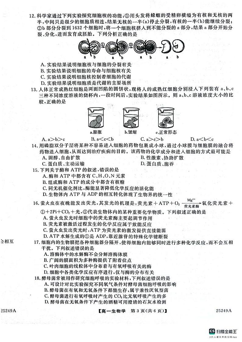 山东省菏泽市鄄城县第一中学2024-2025学年高一上学期12月月考生物试题第3页