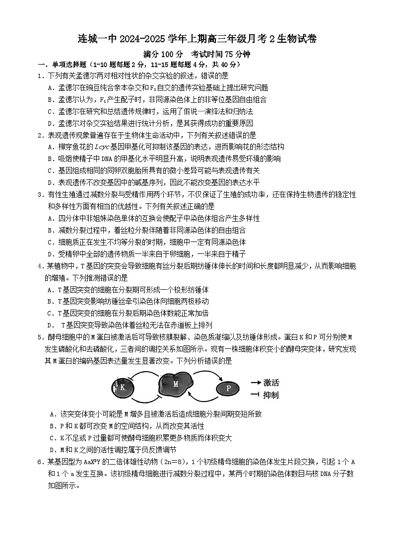 福建省龙岩市连城县第一中学2024-2025学年高三上学期12月月考生物试题-A4第1页