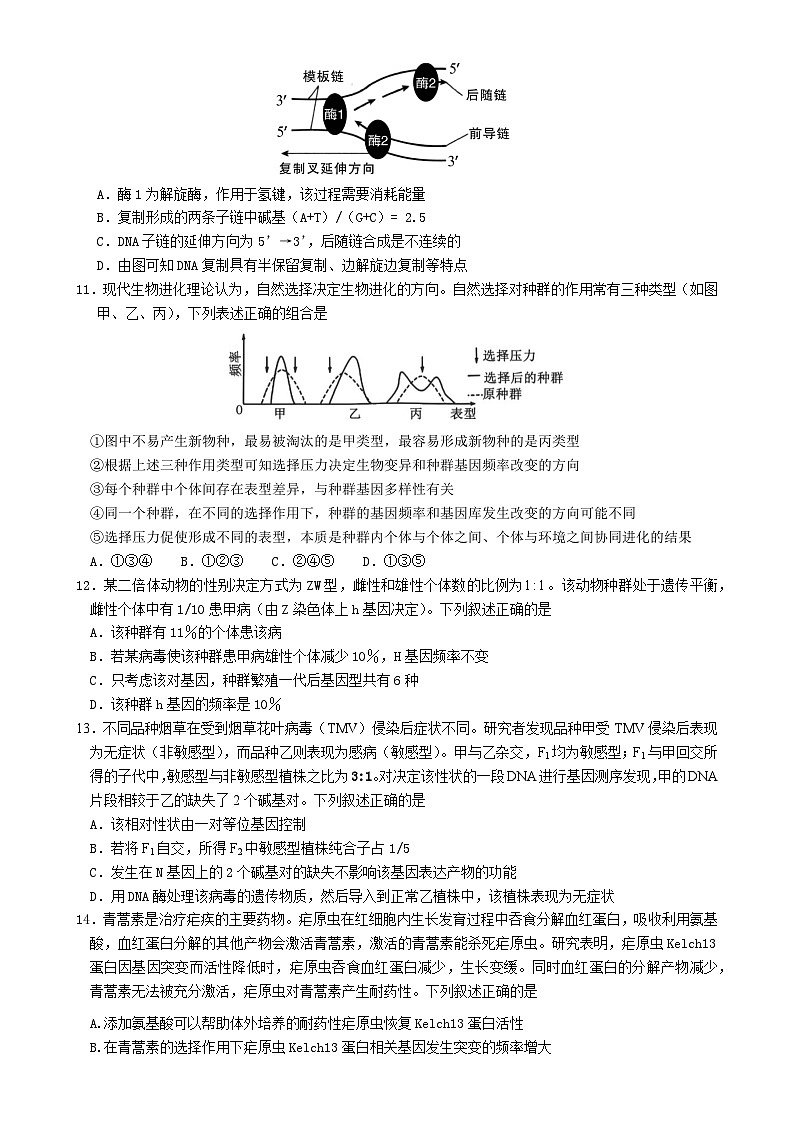福建省龙岩市连城县第一中学2024-2025学年高三上学期12月月考生物试题-A4第3页