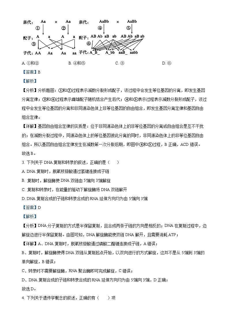 天津市滨海新区塘沽紫云中学2024-2025学年高三上学期期中考试生物试卷（解析版）-A4第2页