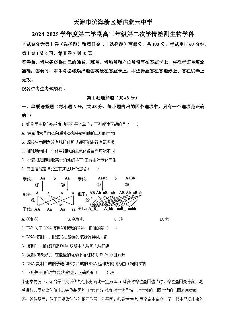 天津市滨海新区塘沽紫云中学2024-2025学年高三上学期期中考试生物试卷（原卷版）-A4第1页