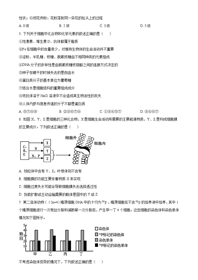 天津市滨海新区塘沽紫云中学2024-2025学年高三上学期期中考试生物试卷（原卷版）-A4第2页
