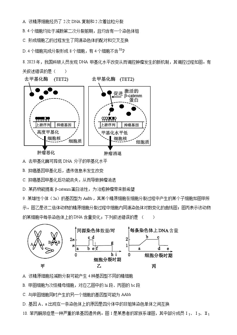 天津市滨海新区塘沽紫云中学2024-2025学年高三上学期期中考试生物试卷（原卷版）-A4第3页