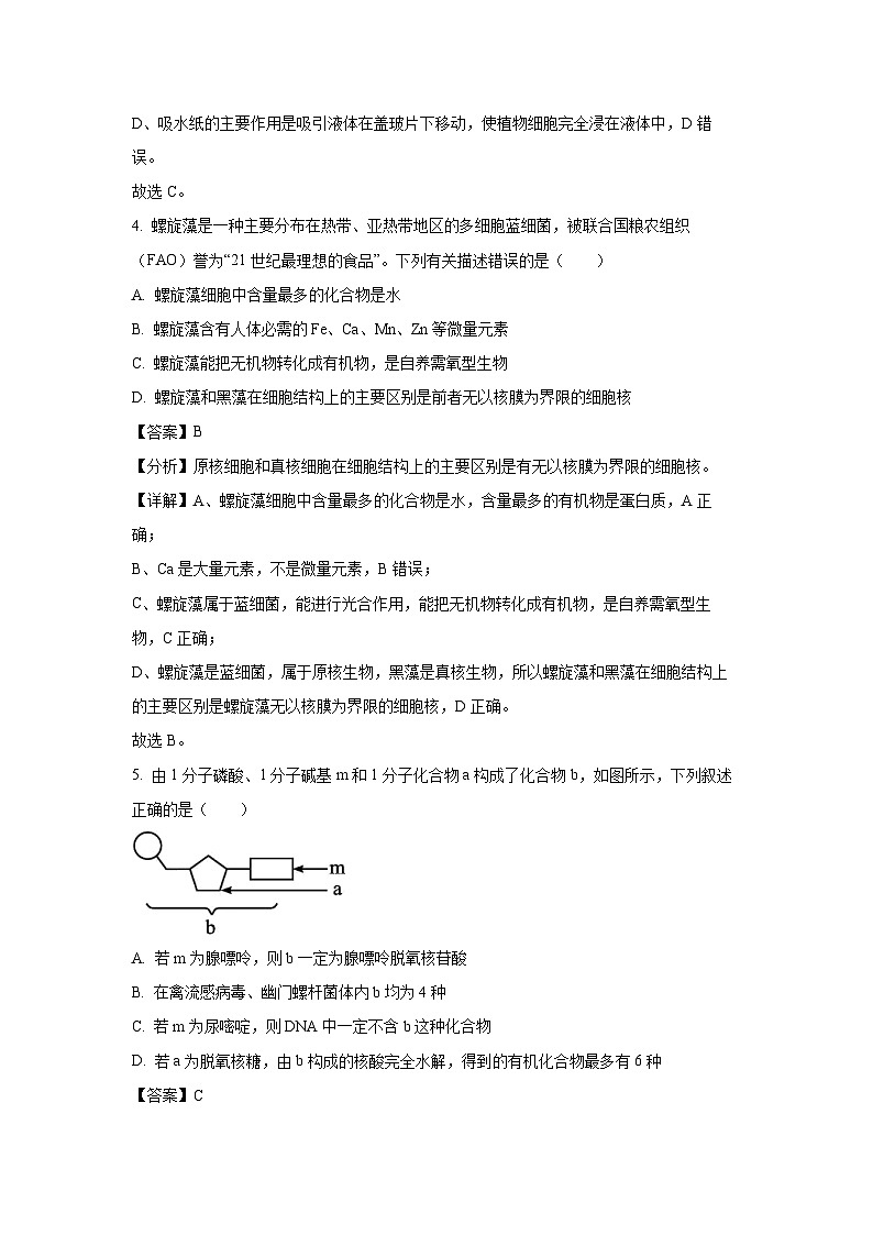 江苏省宿迁市泗阳县2024-2025学年高一(上)11月期中生物试卷(解析版)第3页