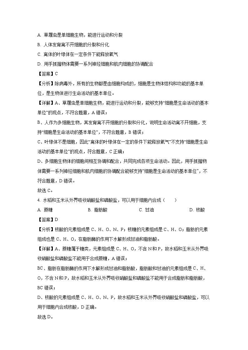 湖南省邵阳市武冈市2024-2025学年高一(上)期中生物试卷(解析版)第2页