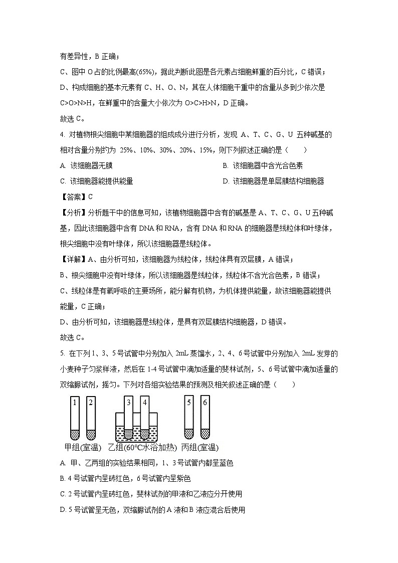 湖北省部分高中2024-2025学年高一(上)11月期中生物试卷(解析版)第3页