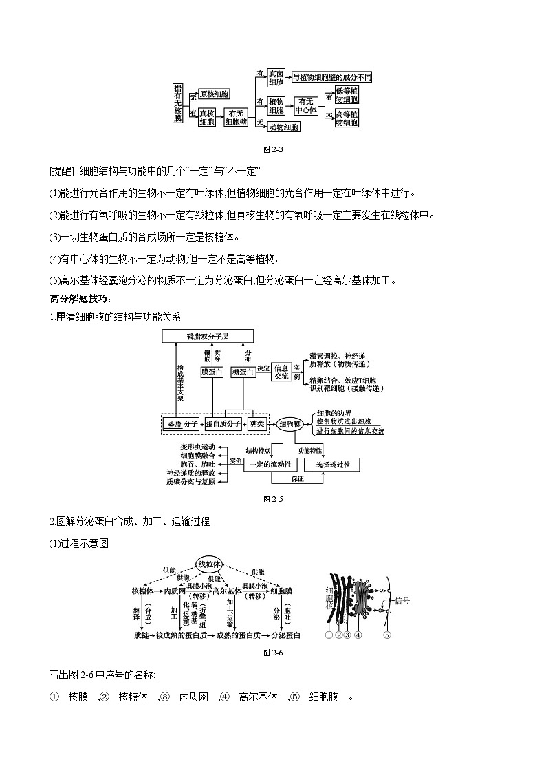 专题02 细胞的结构和功能-2025年高考生物 热点 重点 难点 专练（天津专用）（原卷版）第3页