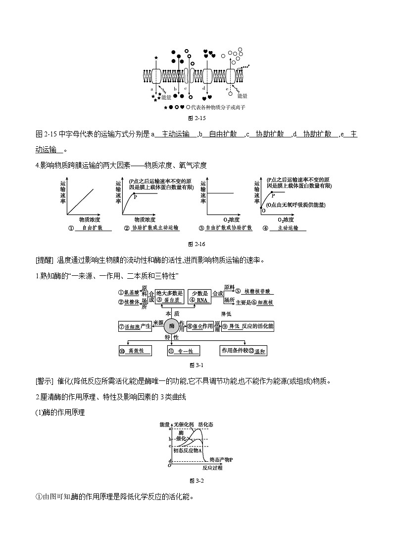 专题03 跨膜运输、酶和ATP-2025年高考生物 热点 重点 难点 专练（天津专用）（解析版）第3页