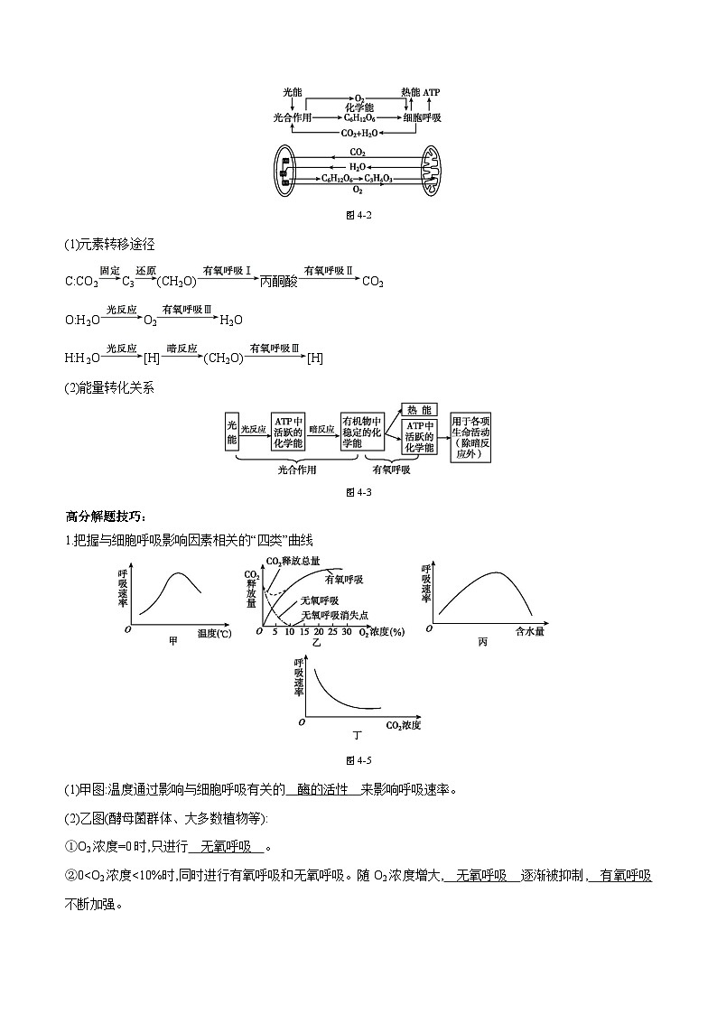 专题04 光合作用和呼吸作用-2025年高考生物 热点 重点 难点 专练（天津专用）（原卷版）第3页
