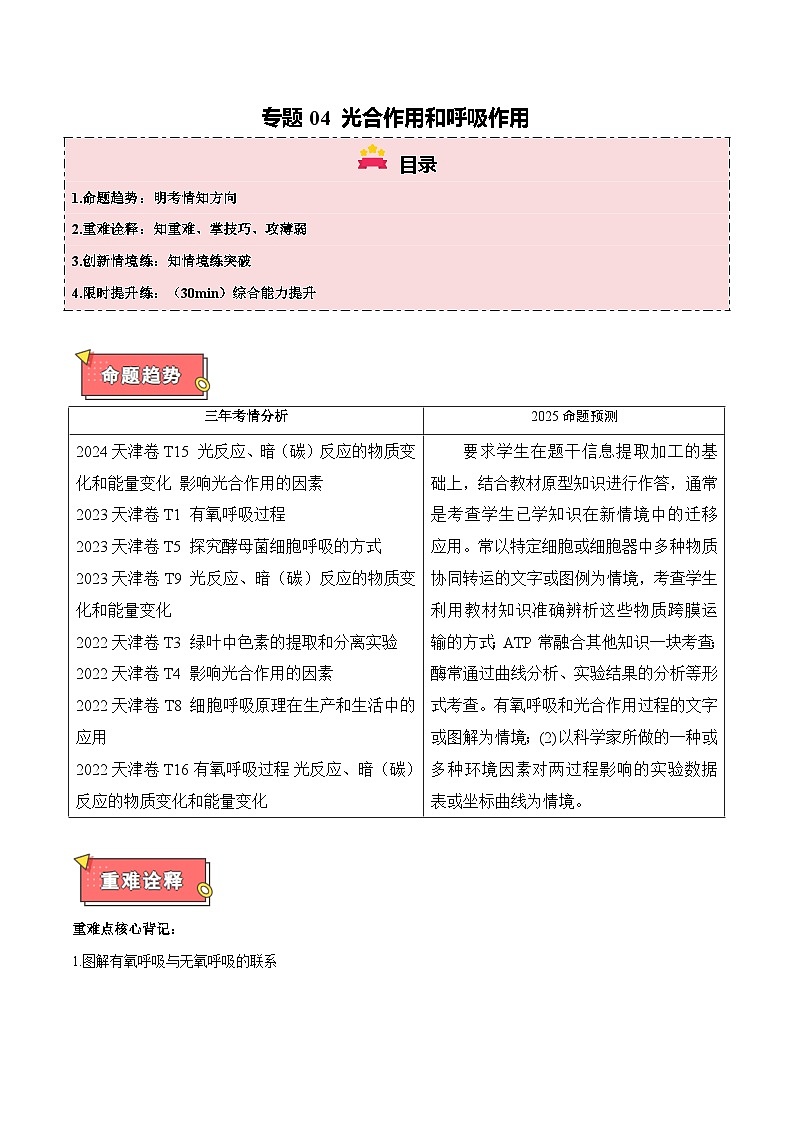 专题04 光合作用和呼吸作用-2025年高考生物 热点 重点 难点 专练（天津专用）（解析版）第1页