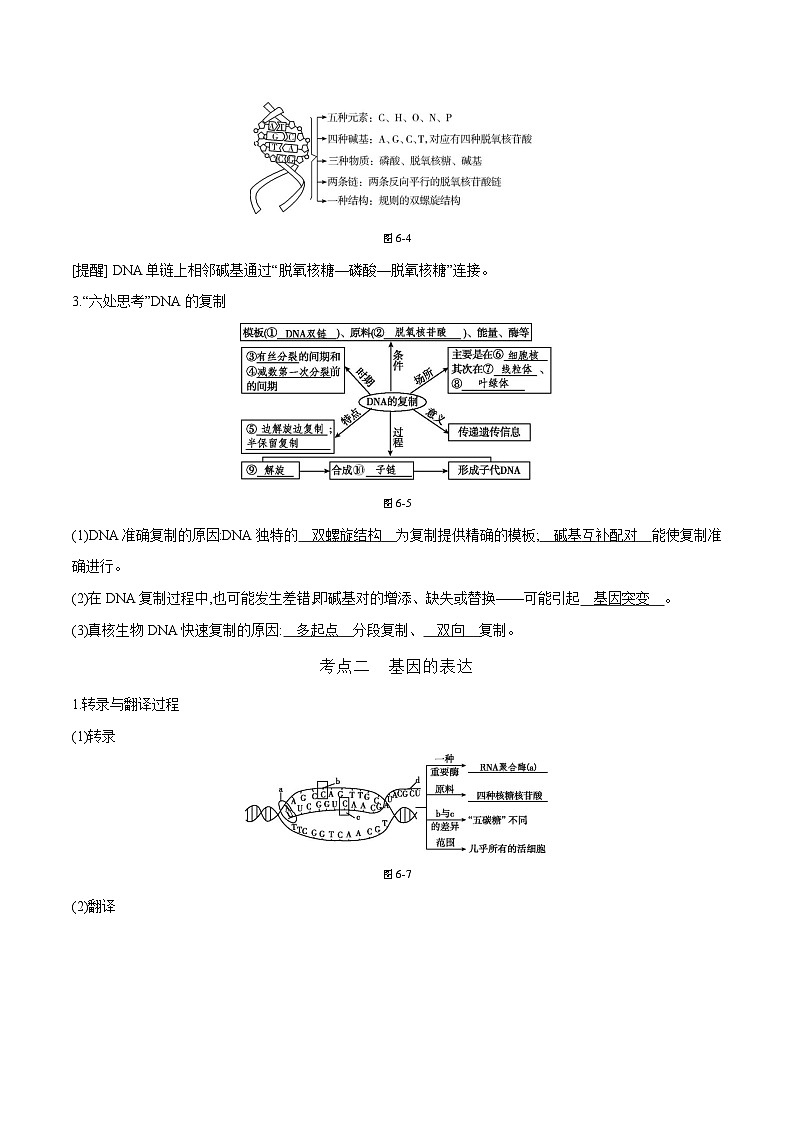 专题07 遗传的分子基础（包括基因的本质、DNA的结构和复制、基因的表达）-2025年高考生物 热点 重点 难点 专练（天津专用）（原卷版）第3页