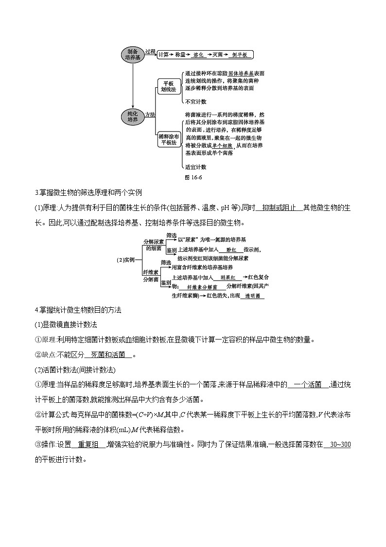 专题13 发酵工程-2025年高考生物 热点 重点 难点 专练（天津专用）（原卷版）第3页