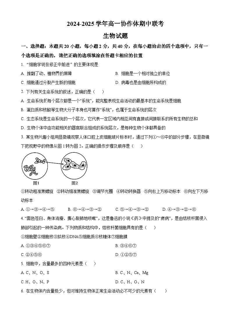 四川省眉山市仁寿县协作体2024-2025学年高一上学期11月期中联考生物试题  Word版无答案第1页