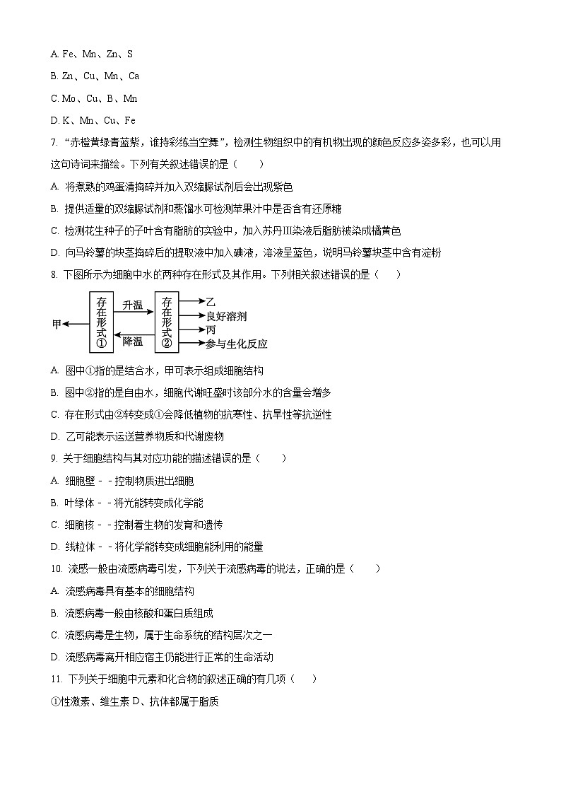 四川省眉山市仁寿县协作体2024-2025学年高一上学期11月期中联考生物试题  Word版无答案第2页
