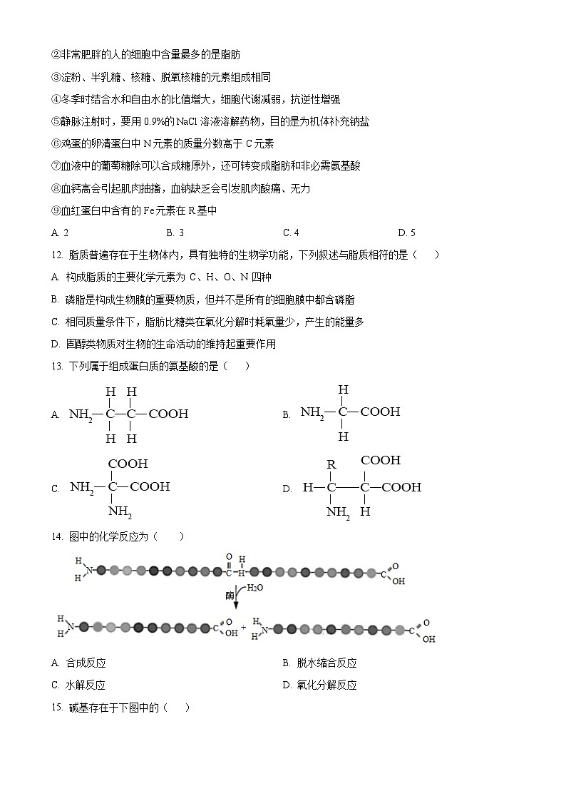 四川省眉山市仁寿县协作体2024-2025学年高一上学期11月期中联考生物试题  Word版无答案第3页