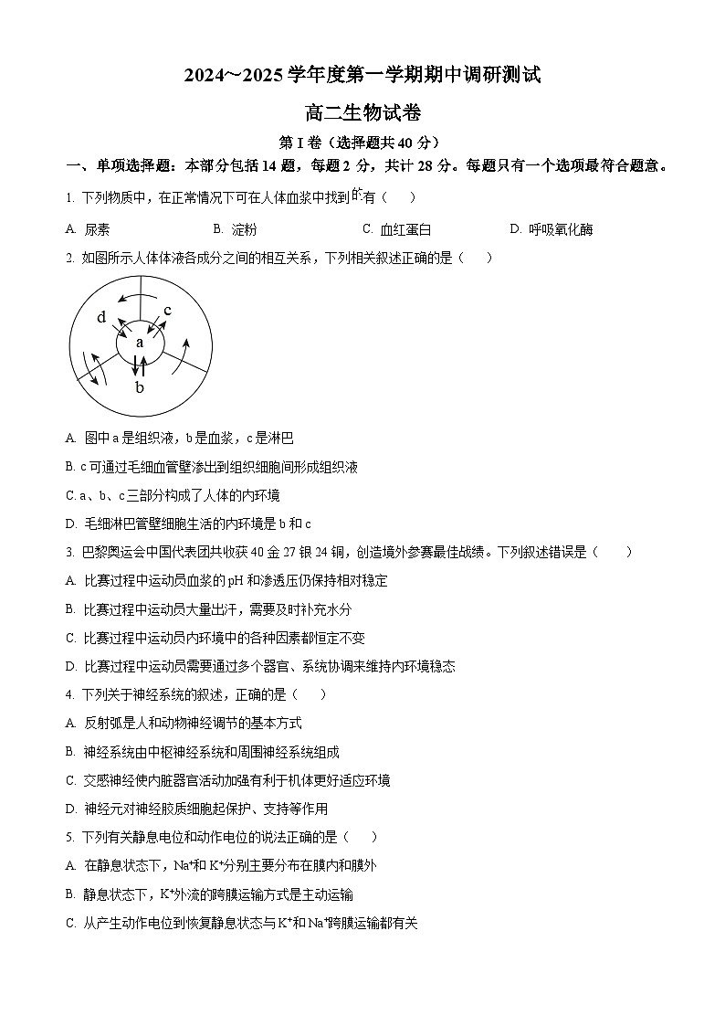 江苏省宿迁市沭阳县2024-2025学年高二上学期11月期中生物试题  Word版无答案第1页