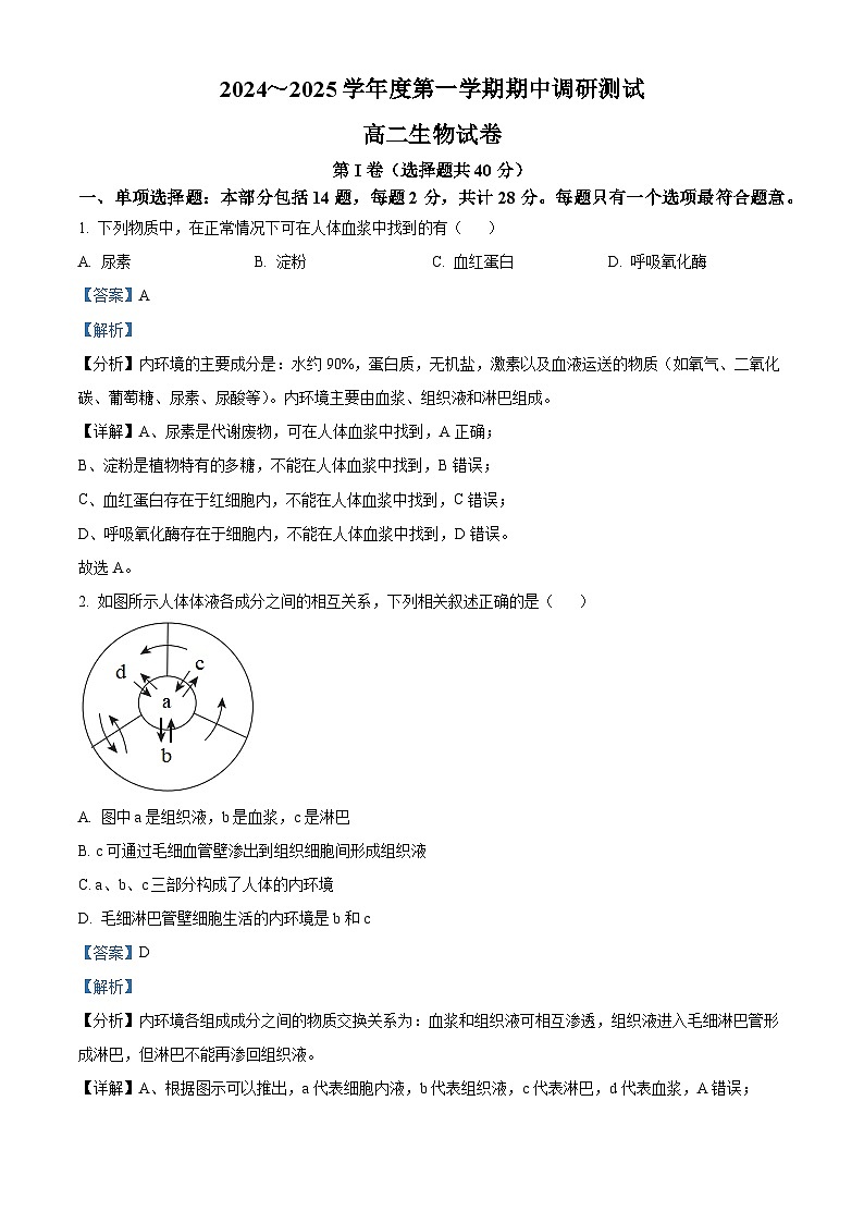 江苏省宿迁市沭阳县2024-2025学年高二上学期11月期中生物试题  Word版含解析第1页