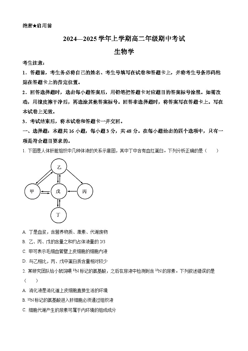 河南省濮阳市2024-2025学年高二上学期11月期中考试生物试题  Word版无答案第1页