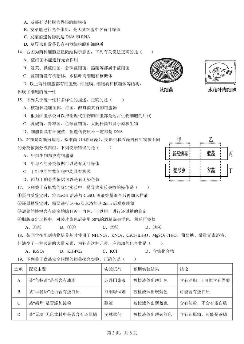 云南省文山壮族苗族自治州文山市第一中学2024-2025学年高一上学期9月月考生物试卷第3页