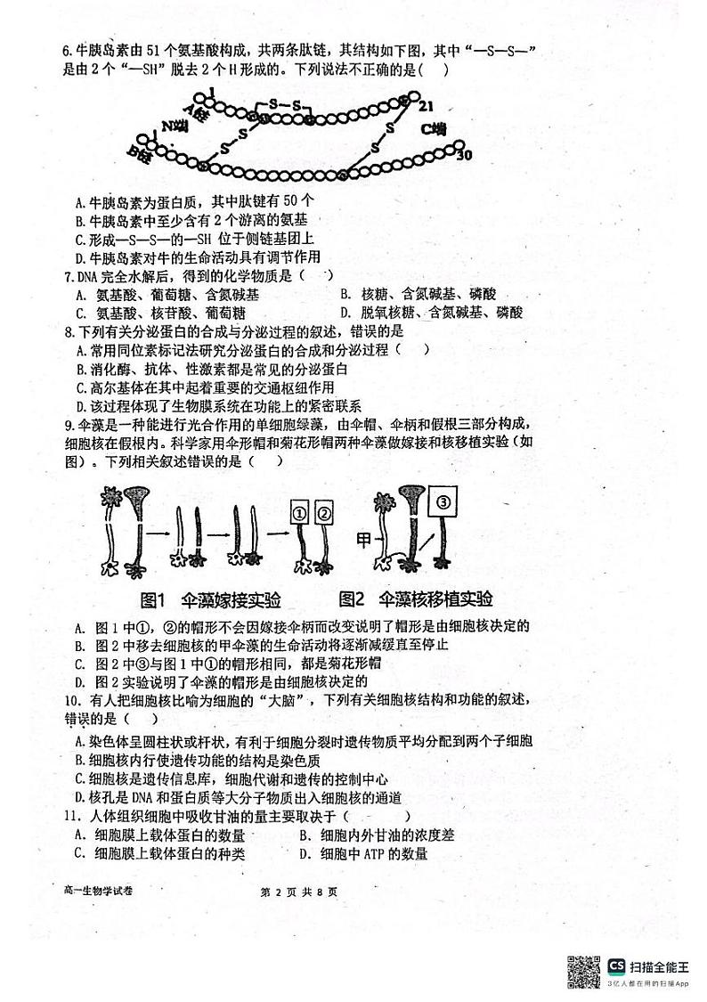 广东省江门市台山市第一中学2024-2025学年高一上学期12月月考生物试题第2页