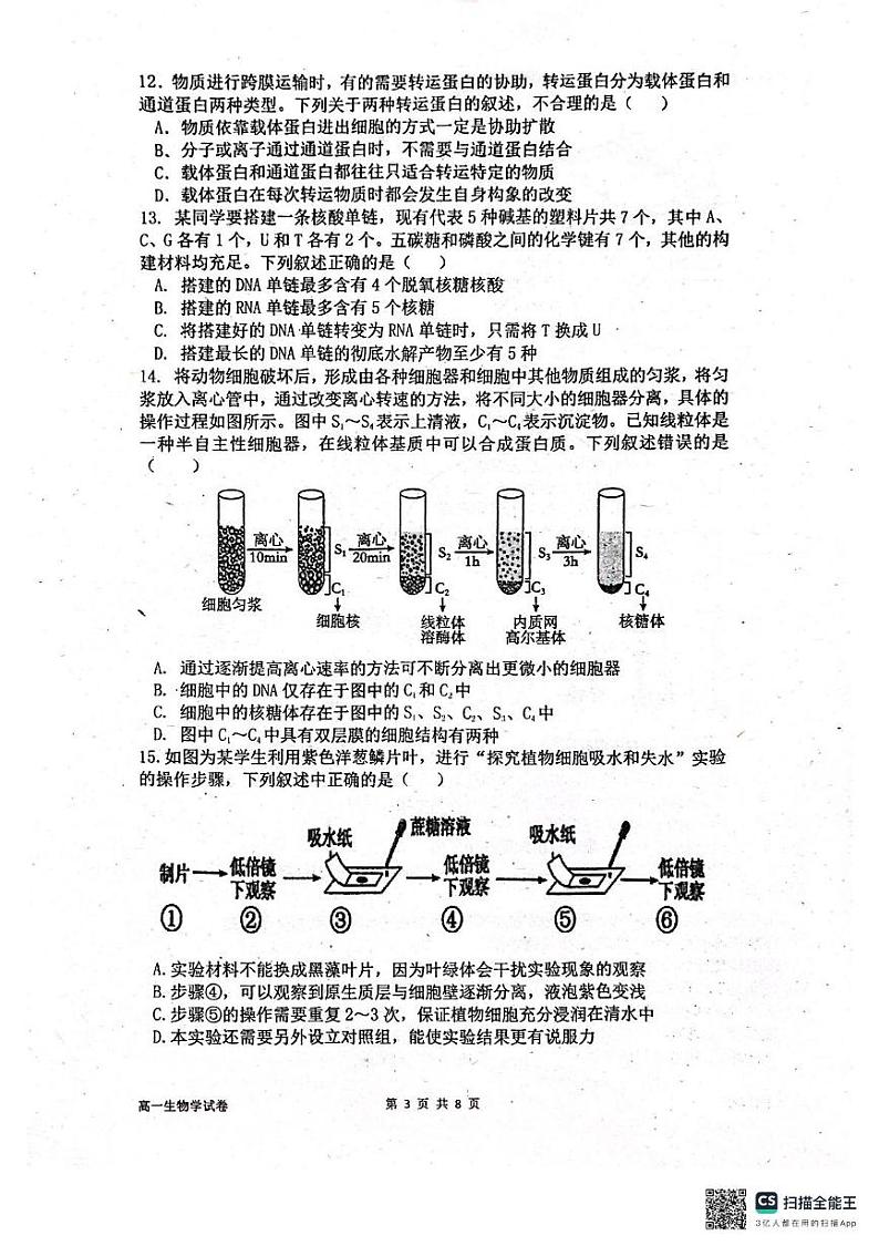 广东省江门市台山市第一中学2024-2025学年高一上学期12月月考生物试题第3页