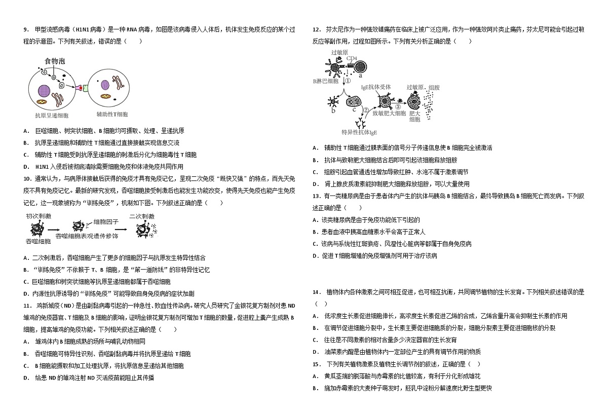 黑龙江省双鸭山第一中学2024-2025学年高二上学期月考生物试卷第2页