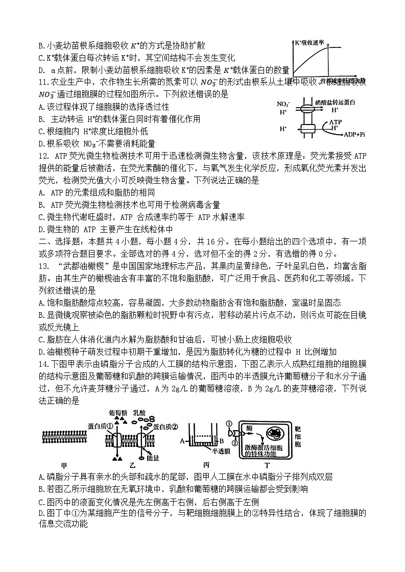 高一生物试卷第3页