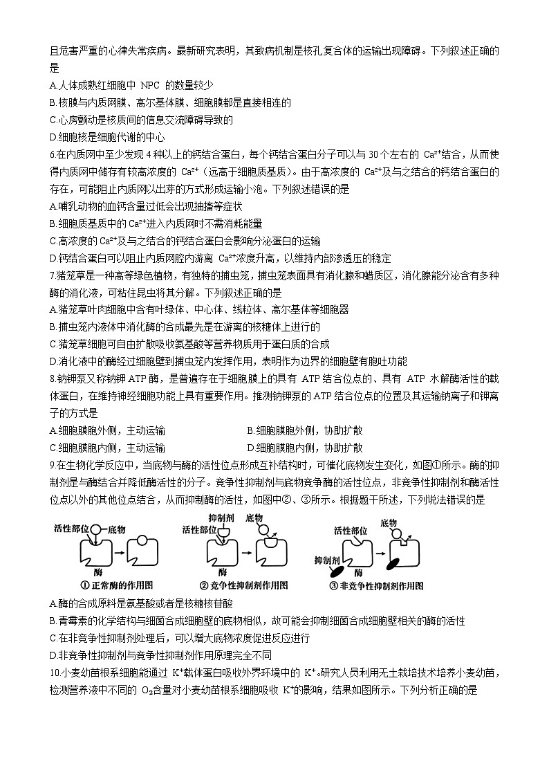 湖南省名校联盟2024—2025学年高一上学期12月联考生物试题第2页