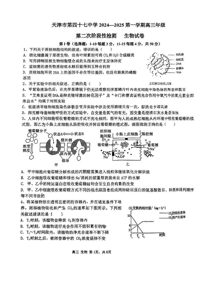 天津市北辰区天津市第四十七中学2024-2025学年高三上学期12月月考生物试题第1页