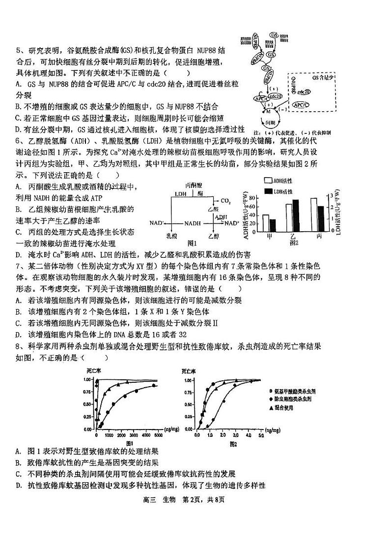 天津市北辰区天津市第四十七中学2024-2025学年高三上学期12月月考生物试题第2页