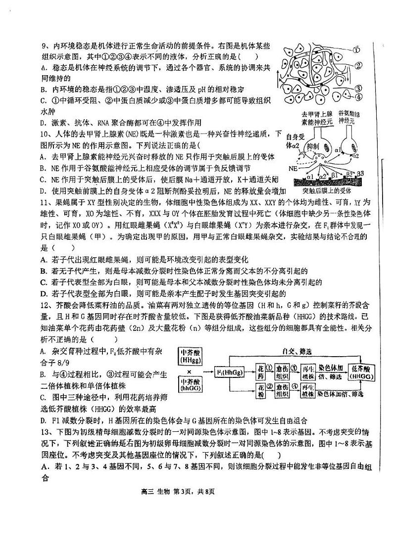 天津市北辰区天津市第四十七中学2024-2025学年高三上学期12月月考生物试题第3页
