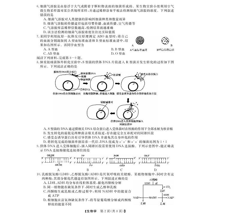 强基联盟高三12月联考--生物试卷第2页