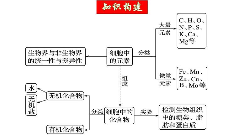 第02讲 细胞中的元素和化合物（精美课件）-【高考一轮】2025年高考生物一轮复习课件（新教材新高考）第6页