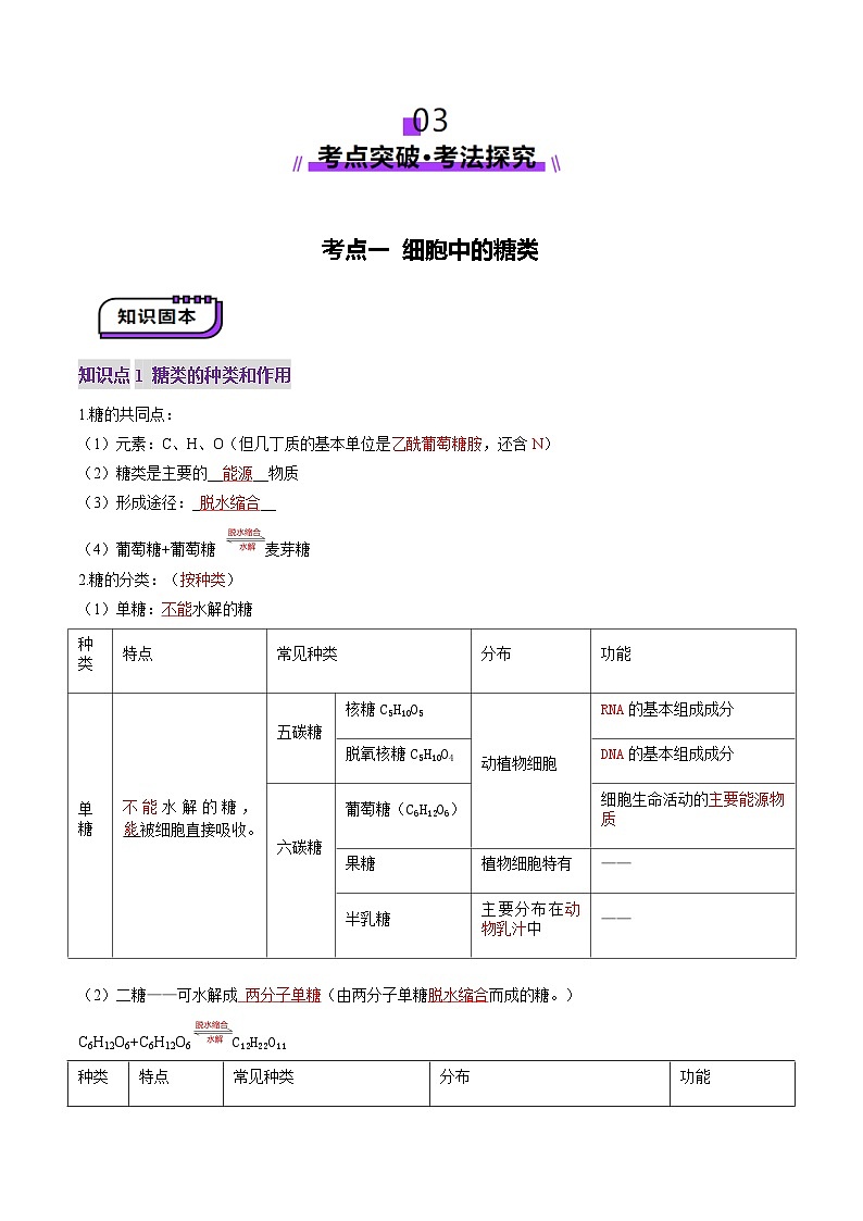 第03讲 糖类和脂质（讲义）（解析版）第3页