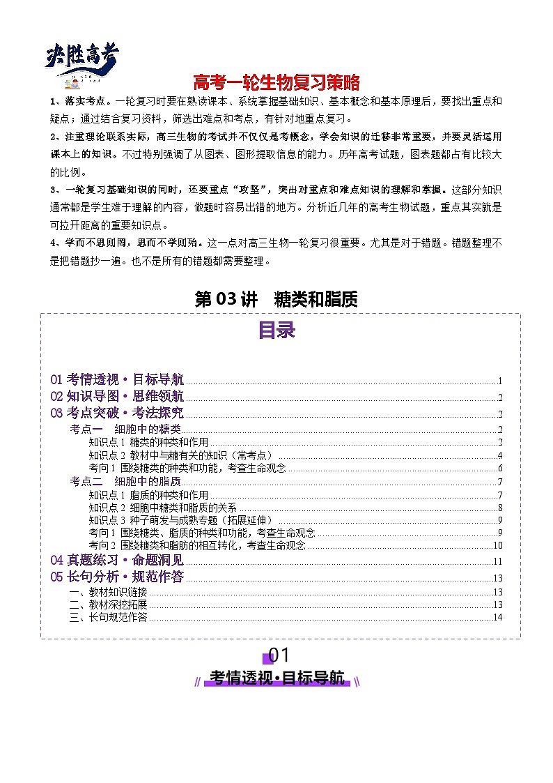 第03讲 糖类和脂质（讲义）（原卷版）第1页