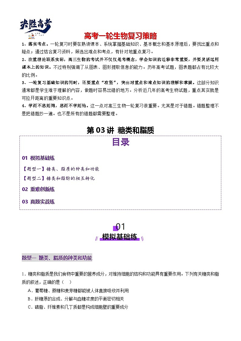 第03讲 糖类和脂质（练习）（解析版）第1页