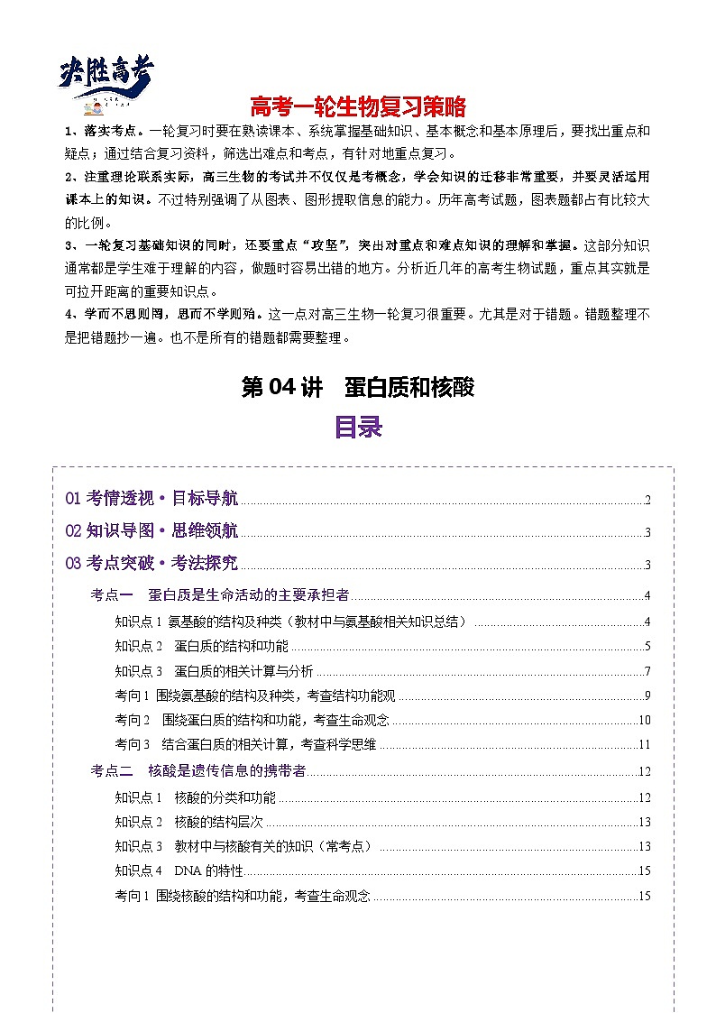 第04讲 蛋白质和核酸（讲义）（原卷版）第1页