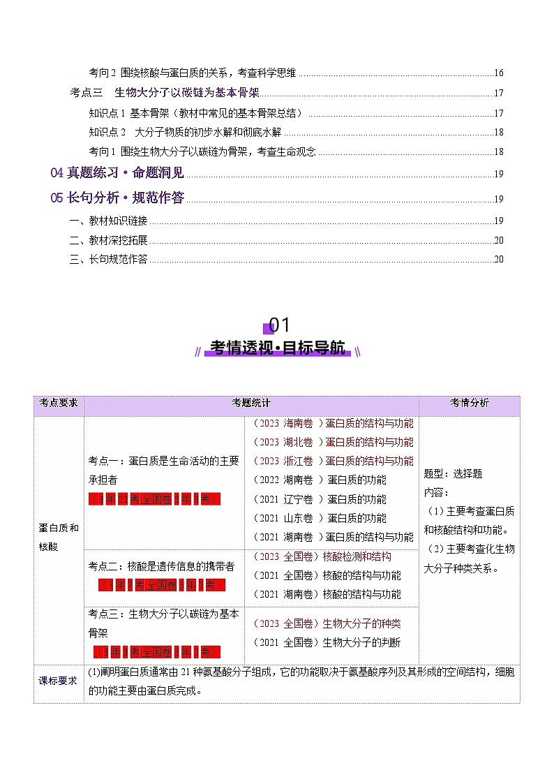 第04讲 蛋白质和核酸（讲义）（原卷版）第2页