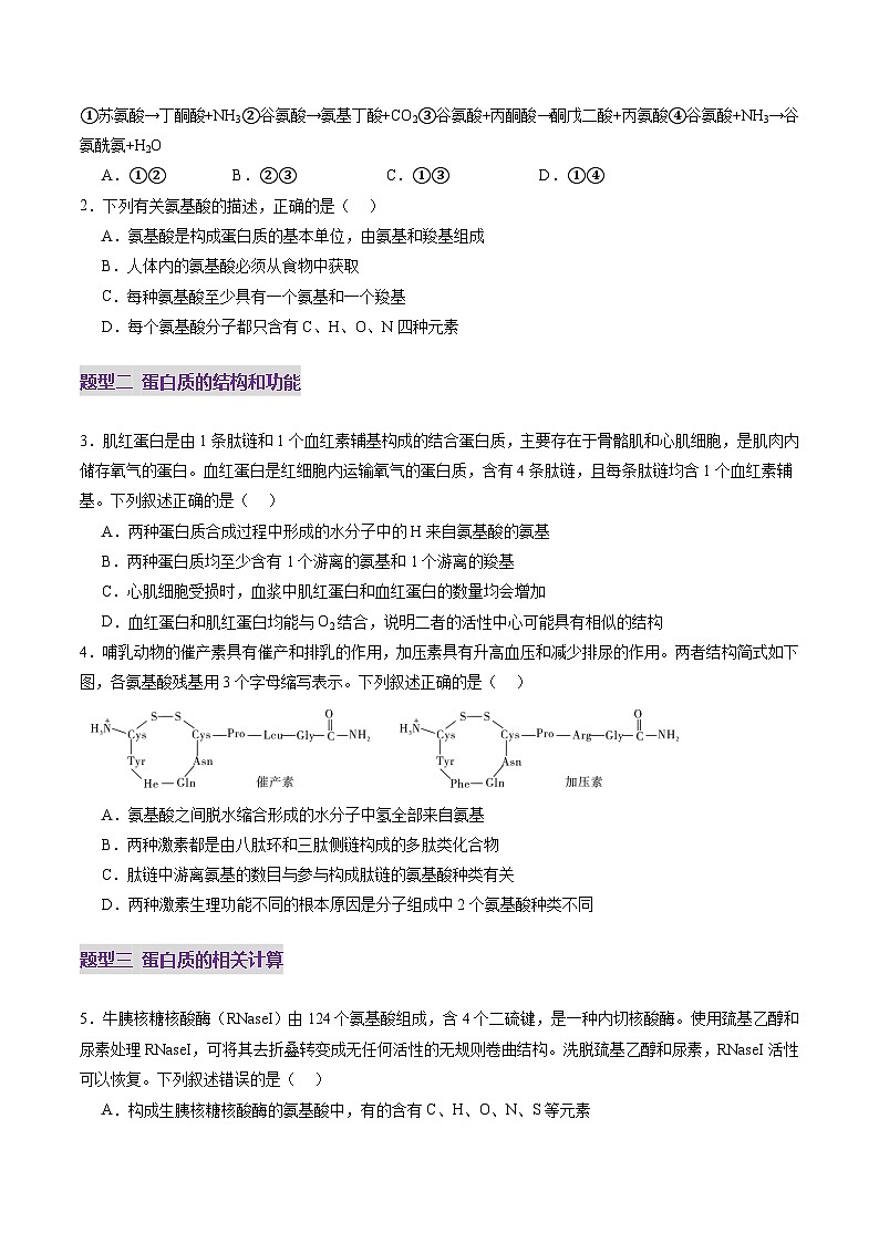 第04讲 蛋白质和核酸（练习）（原卷版）第2页